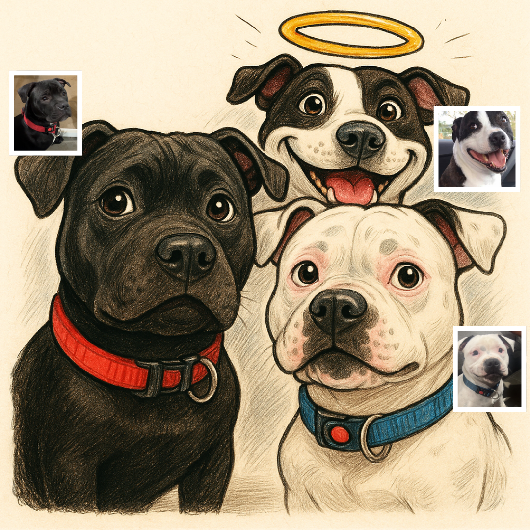Multiple Pets