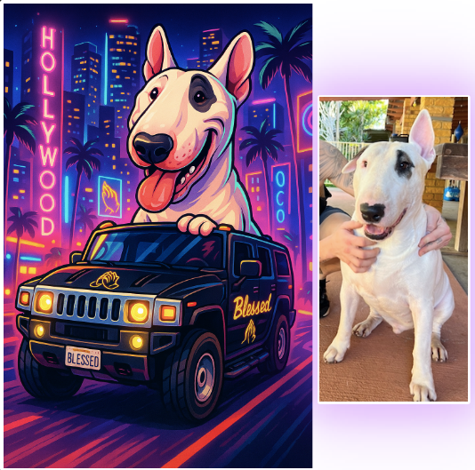 Pets
